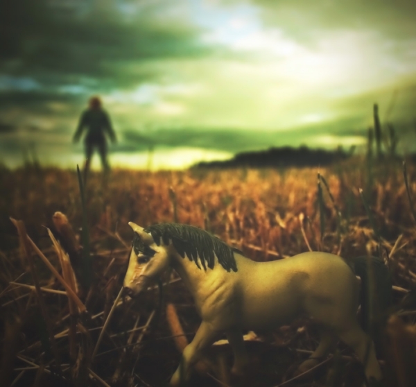 Photograph Andreas Kauppi Mr. Horse on One Eyeland